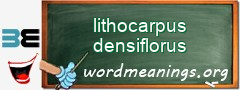 WordMeaning blackboard for lithocarpus densiflorus